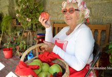 All rosy for Applefest