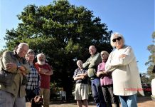Residents oppose tree removal