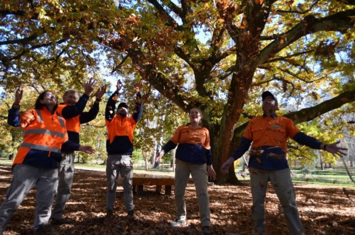 Mount Alexander Shire Council Parks and Gardens team members Gillian, Rob, Sandra, Matt and Adam celebrate the success of the 'Royal Oak' this week.