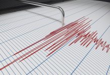Earth tremor rattles the ‘maine
