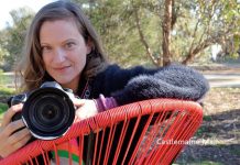 Local filmmaker scoops international award