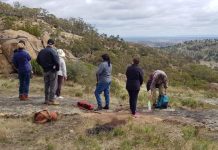 Take a cultural field trip