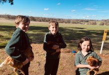 Read all about it…