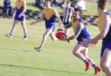 MCDFNL draws curtain on season 2021
