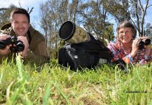 Big backyard bird count is on again