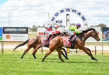 Maldon galloper wins Mark's Line ridden by Christine Puls wins the bet365 Maiden Plate at Horsham Racecourse on October 17. Photo: Alice Miles/Racing Photos