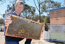 Stoush over ‘manuka honey’ spills into NZ tribunal