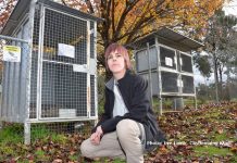 Cage misuse prompts appeal to public