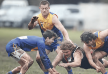 Harcourt Lions hang on for important win