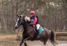 Pru and Davina make championships, will represent Victoria in dressage, Sydney