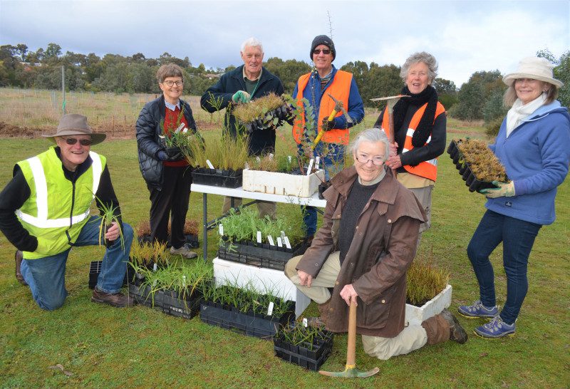 Plant a tree for National Tree Day Castlemaine Landcare to host big