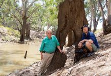 The Lake of Scars: NAIDOC week screening part of event-packed weekend