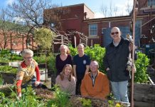 Castlemaine Community House wants you! Kez Jennings (Community Development Worker), Kerrily Flanagan (Project Worker), Poppy Cullen (Community Development Student), Peter Nunn (Customer Service Volunteer), Martyn Shaddick (CCH Manager), and Peter Cole (NILS Client Support Provider) invite community members to join their team. Photo: Anouk Prince.