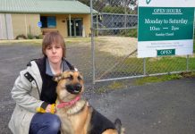 Rising costs are forcing some to choose between feeding themselves or their pets