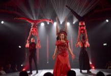 The circus is coming to town this November! Adult circus cabaret Rouge are set to headline the November event. Photo: Brig Bee Photos.