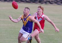 Harcourt Lions finalists ready for action After a stellar season Harcourt will contest the MCDFNL grand final tomorrow. Photo: Max Lesser.