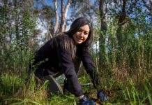 Harcourt Valley Landcare celebrates 25 years The Harcourt Valley Landcare will celebrate 25 years with a special event, brochure and action plan launch this Sunday September 25. The new membership brochure features member Vanessa Chiang. Photo: Richard Baxter.