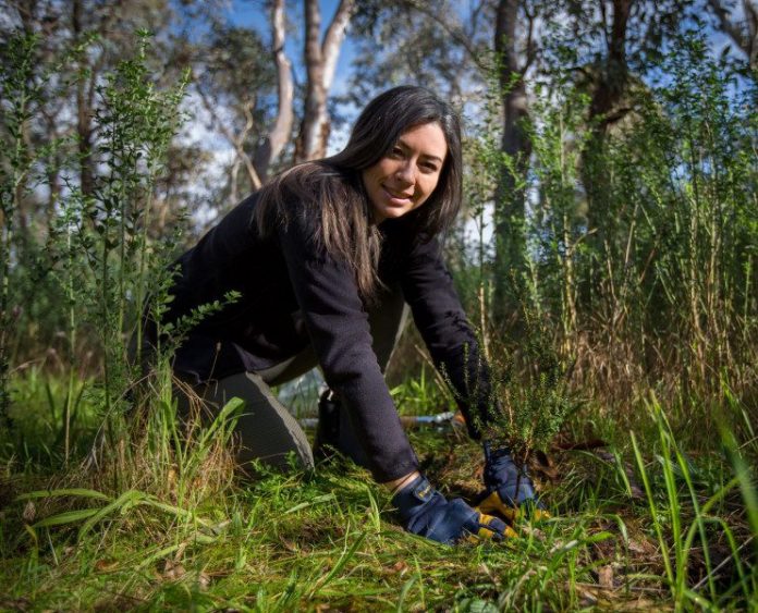 The Harcourt Valley Landcare will celebrate 25 years with a special event, brochure and action plan launch this Sunday September 25. The new membership brochure features member Vanessa Chiang. Photo: Richard Baxter.