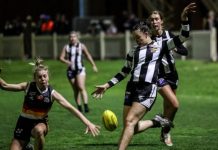 Historic moment for our Castlemaine Women’s Team Magnificent Magpies vie for premiership glory tonight! Photo: SAA Imaging.