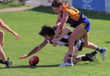 Magpie Women look to bounce back in Preliminary Final tonight The Magpies fought the match against the Bulldogs right down to the wire and will look to bounce back tonight! Photo: Max Lesser.