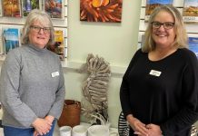 National recognition for Travel & Cruise Castlemaine Travel & Cruise Castlemaine's Heather Rice and Fiona Oliver are thrilled to finalists in the National Travel Industry Awards. The pair are pictured with some of their travel inspired merchandise.