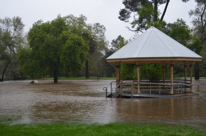 DSC_0366 Floodwater has inundated the Castlemaine Botanical Gardens reigniting memories of the 2011 floods.
