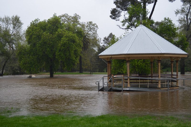 Floodwater has inundated the Castlemaine Botanical Gardens reigniting memories of the 2011 floods.