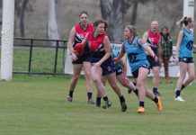 Mt Alexander Falcons to feature at Ballarat