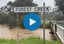 Forest Creek creeps higher as rains continue