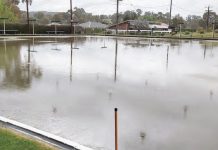 Harcourt bowling green becomes a swimming pool