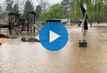 Taradale playground underwater as Back Creek swells