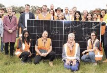 Newstead solar farm project gets underway