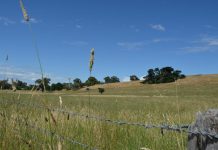 Don KR Castlemaine solar farm on the horizon