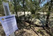 Duck casualties continue to soar