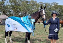 Castlemaine horse show raising money for ovarian cancer