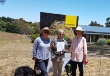 Creative housing solutions for the older generations