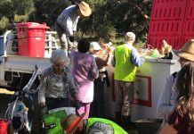 Volunteers clean up local creeks as part of Clean Up Australia Day Volunteers worked hard to remove one and a half skips of rubbish from local creeks.