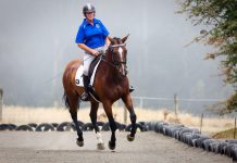Harcourt Pony Club welcomes you Harcourt Pony Club leader Peggy Mills.