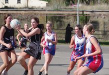 Magpies valiant The Magpie netballers gave their all against Gisborne. Photo: Max Lesser.