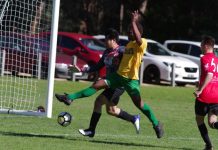 Castlemaine Goldfields kick off 2023 season Castlemaine Goldfields striker Steward Batai competes for the ball against Swinburne's defence. Photo: Max Lesser.