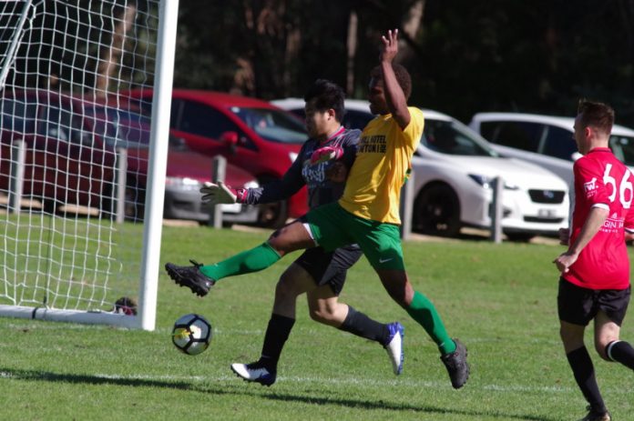 Castlemaine Goldfields striker Steward Batai competes for the ball against Swinburne's defence. Photo: Max Lesser.