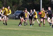 Campbells Creek football sides show plenty of heart