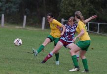 Goldfields give their all at Chewton