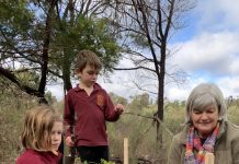 Local schools’ sustainability strides score finalist spots