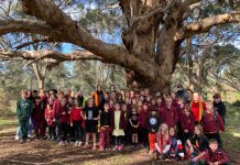 Community walks for Reconciliation