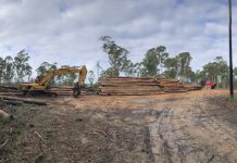 The future of native forest logging