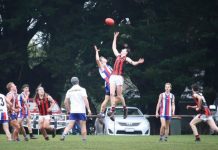 Maldon and Newstead meet under lights