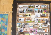 Poodle Art on show at The Mill