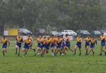 MCDFNL footy and netball previews