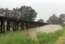 Long awaited levees loom